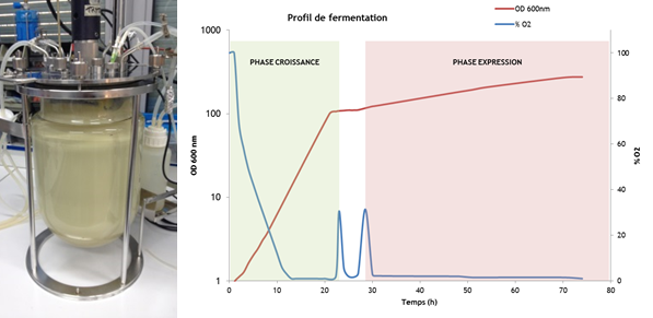 Photo Bioreactor